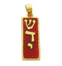 Gold Filled Red Enamel Mezuzah Pendant